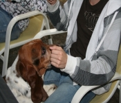 Kelsey GradParty 2010 184